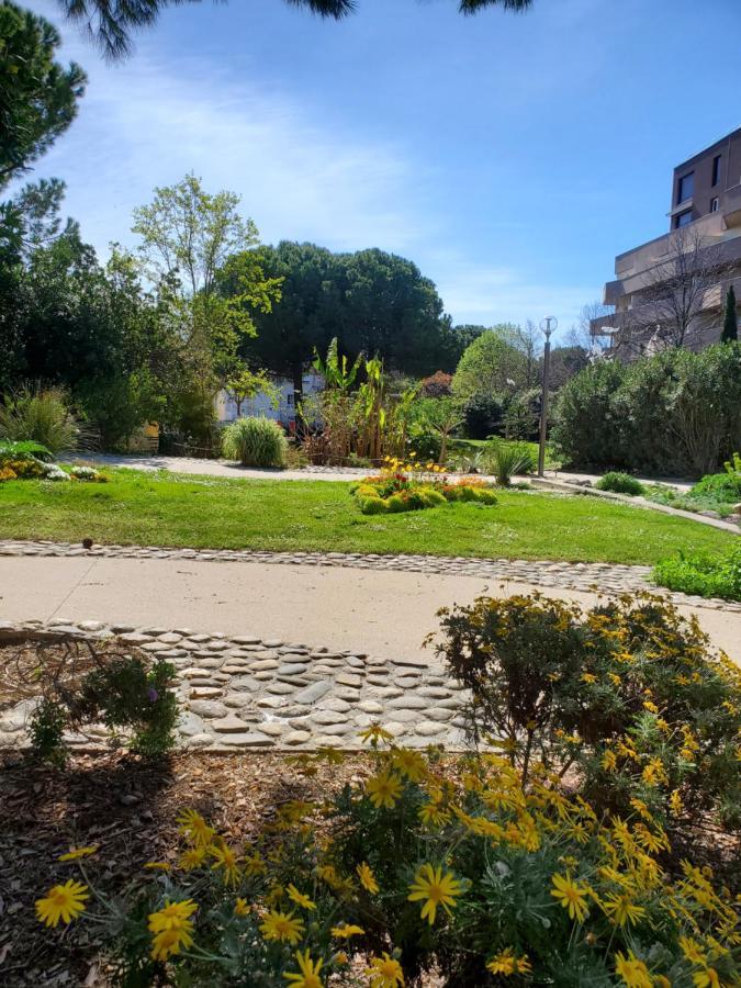 Le Grenier, Climatisation Terrasse Wi-Fi Netflix 15 Mn Coeur De Ville Béziers Exteriör bild
